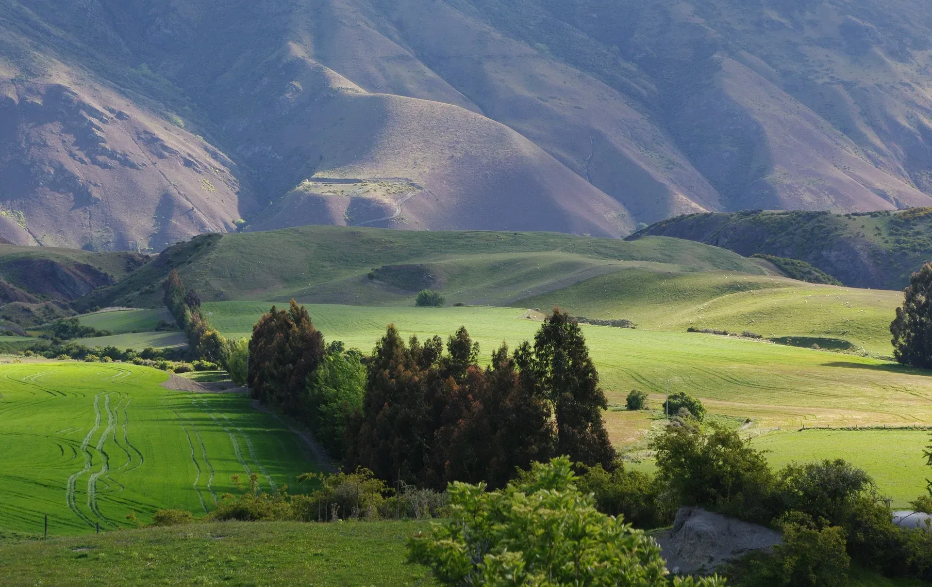 Morning light moving across high country hills and farmland.